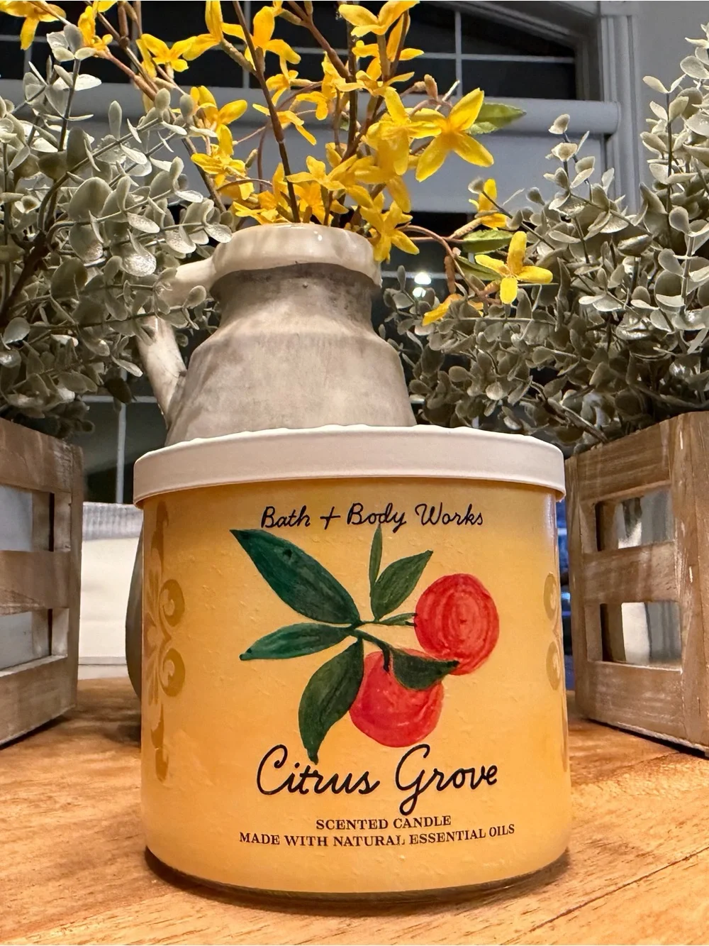 Bath & Body Works Citrus Grove Scented Candle - 14.5 oz